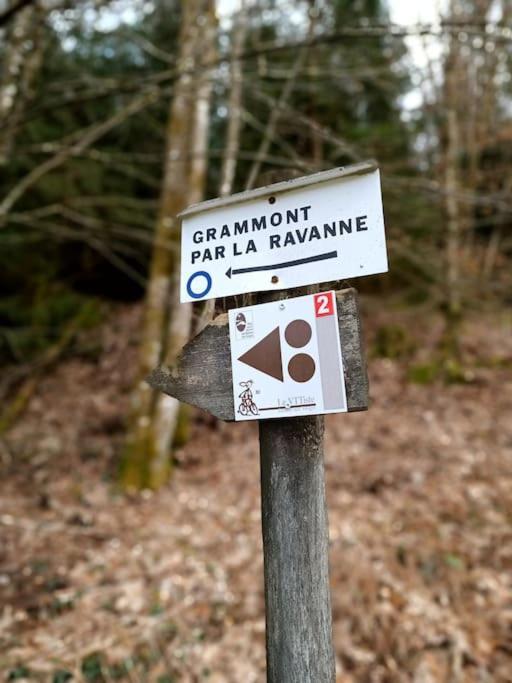 Gite De La Ravanne Ramonchamp Экстерьер фото